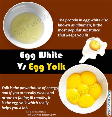 The Nutritional Value Of Egg Whites Versus Egg Yolks What Do You Use