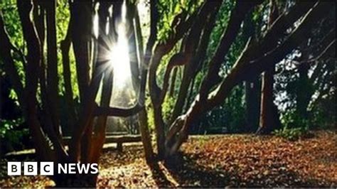 Is Northern Ireland Getting An Indian Summer Bbc News