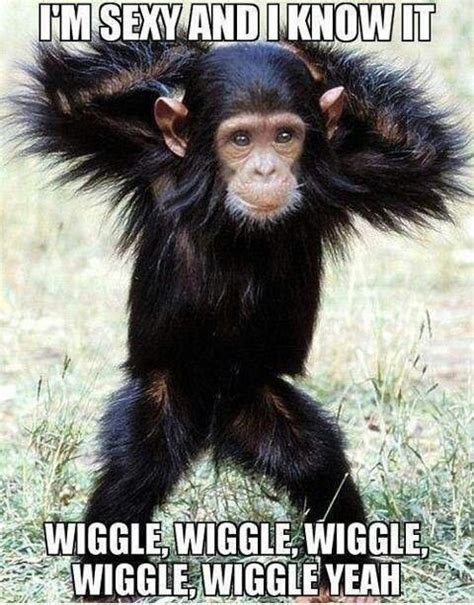 Pin On We Love Zumba Memes