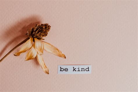 50 Kindness Quotes That Will Inspire You To Be Kind Antimaximalist