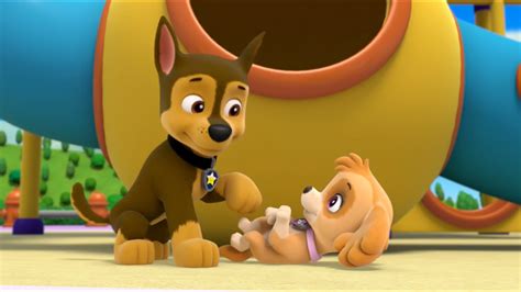 Image Chase And Skye Being The Best Couple Everpng Paw Patrol