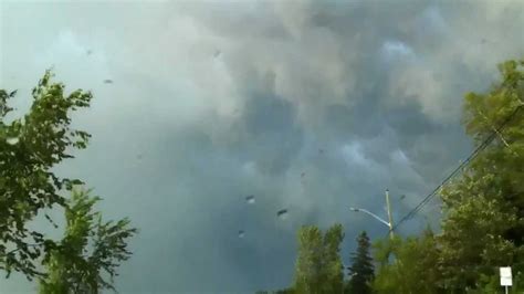 If the deer was alive when and moving when you hit it, you're fine. Tornado Hits My Car I'm Still Alive lol - YouTube