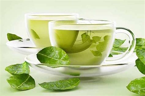 Selain itu, teh daun jati juga terbukti memiliki beberapa manfaat bagi kesehatan. Manfaat Teh Cina Untuk Kesehatan - Manfaat dari teh daun ...