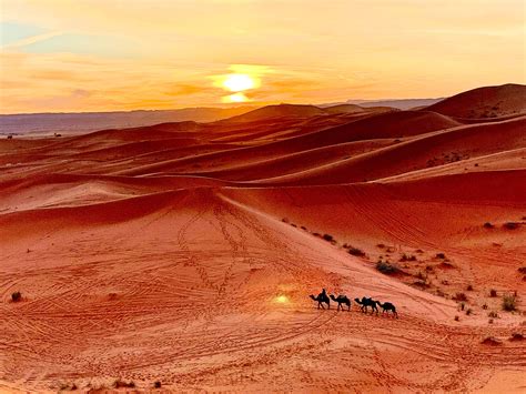 Un Viaje Al Desierto Del Sáhara Por El Marruecos Más Auténtico