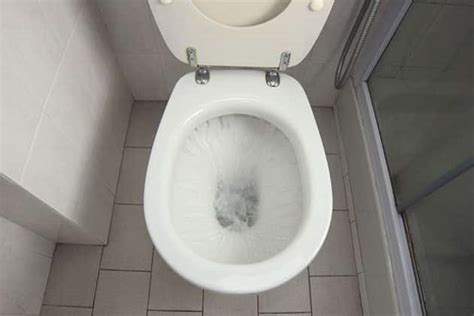 Read our blog to learn how to flush the toilet without running water. What to Do If Your Toilet Causes Water Damage