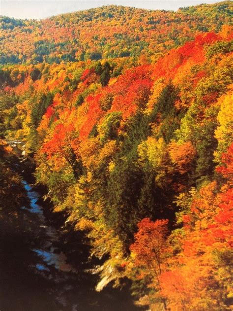 Fall Foliage In Vermont Take This Killington Area Leaf Peeping Trip