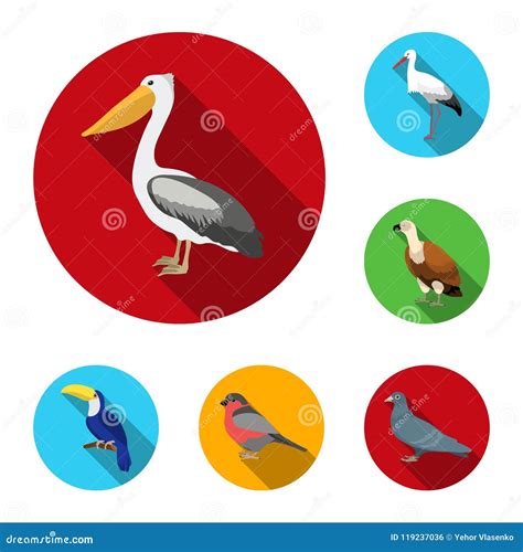 Types Of Birds Flat Icons In Set Collection For Design Home And Wild