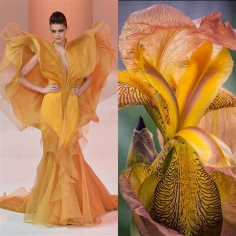 Fashion Photography With Flowers