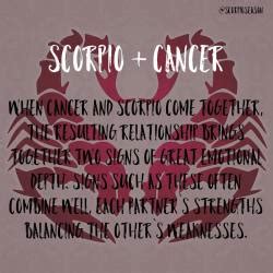 When these two water signs meet, the magnetism between them packs the cosmic wallop of a strong electric charge. ScorpioSeasons