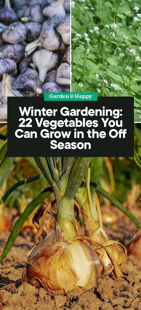 Winter Gardening 22 Vegetables You Can Grow In The Off Season Garden