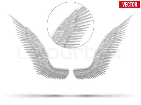 White Open Angel Wings Vector Stock Vector Colourbox
