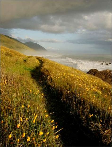 Lost Coast Trail in Northern California