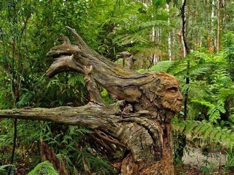 Nature Tree Sculpture Tree Art Tree Carving