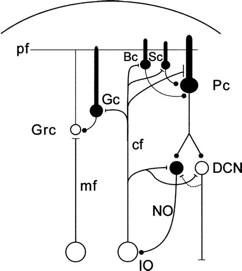 Nov 01, 2020 · 70v volume control wiring diagram effectively read a wiring diagram, one provides to learn how the components inside the system operate. Nile Volume Control Wiring Diagram - Wiring Diagram