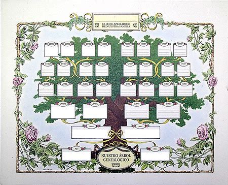 En un árbol genealógico, un cuadro representa a un miembro de la familia. Montaje fotografico nuestro arbol genealogico para todos ...