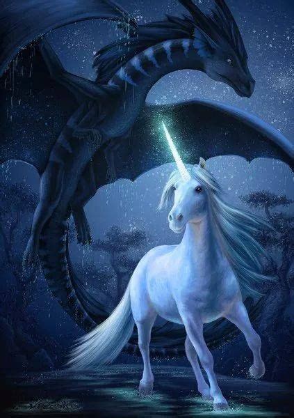 Dragon And Unicorn Foret De Broceliande Créatures Mythiques Animal