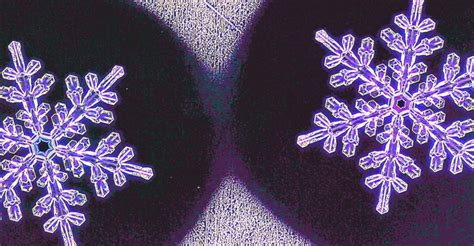Fact Check Heres What Science Says About No Two Snowflakes Being Alike