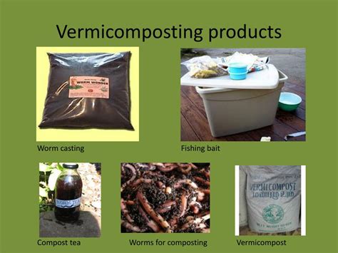 Ppt Vermicomposting Powerpoint Presentation Free Download Id1550817