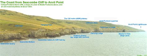 Anvil Point To Blackers Hole Dorset Geology By Ian West