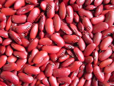 This is due partly to their early cultivation in the middle eastern region known as the fertile crescent, made up by parts of modern iran, iraq, southwest turkey, syria, lebanon, palestine, israel, and northern egypt. Sấy khô hạt đậu đỏ, một loại hạt mang đến rất nhiều lợi ...