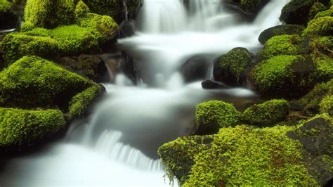 Download Water Green Nature Waterfall Hd Wallpaper