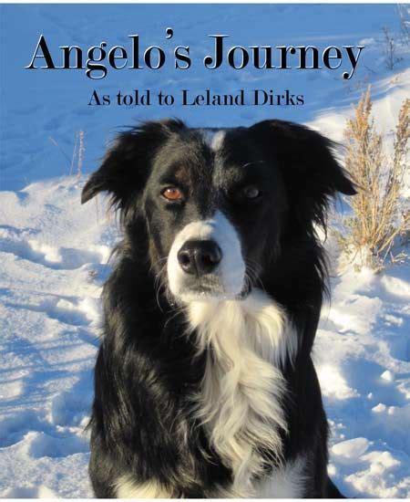 Love This Booka Big Fav Dog Stories Dog Books Dog Agility Cat