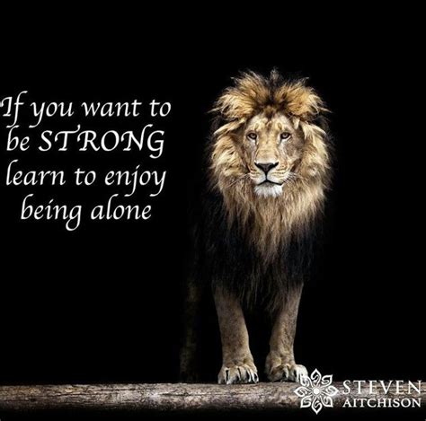 Being Alone Lion Quotes Warrior Quotes Animal Quotes
