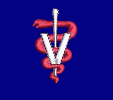 Veterinarian Caduceus Logo Embroidery Machine File DVM Etsy