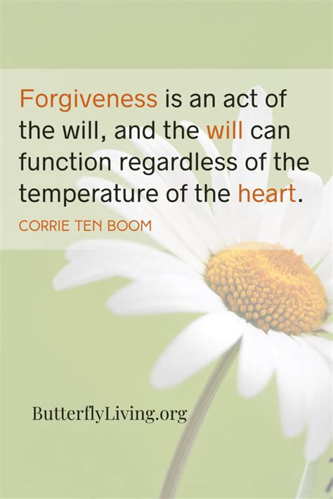The Importance Of Forgiveness And 5 Powerful Ways To Forgive