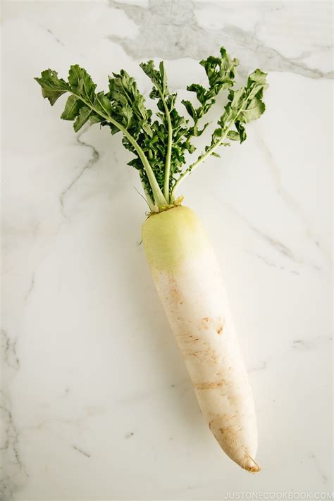 This mild radish can be a substitute for korean radish when it's not available. Daikon (Japanese Radish) • Just One Cookbook