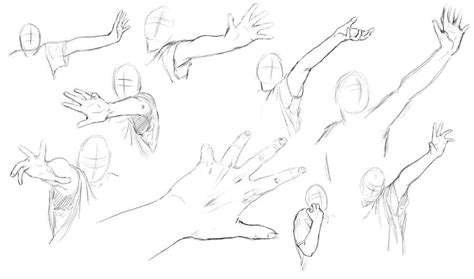 Arm Hand Study By Klakklak On Deviantart