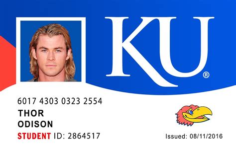 University Of Kansas Student Id Idviking Best Scannable Fake Ids