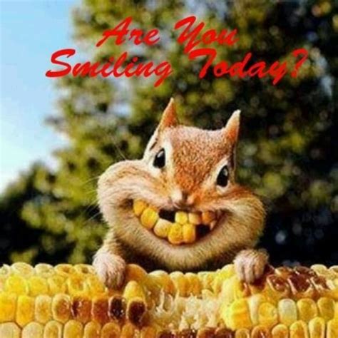 Happy Wednesday Ya Allz~ Cute Animals Pinterest