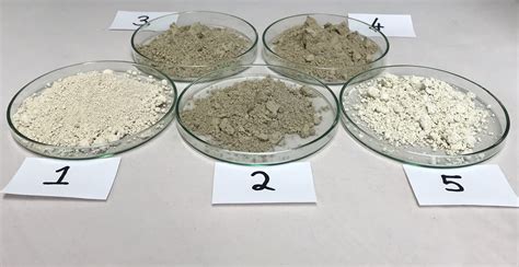 Diatomaceous Earth Introduction