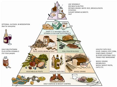 Healthy Food Pyramid Healthy Food House