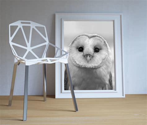 Owl Wall Art Owl Decor Owl Print Owl Art Owl Poster Bird Etsy