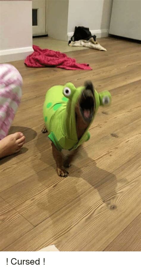 Cursed images might make you laugh , question humanity or make you extremely horrified to the point were you get sick. ! Cursed ! | Cursed Meme on ME.ME
