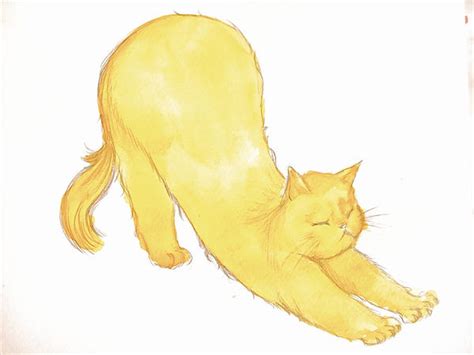 Yellow Cat By Jemille On Deviantart