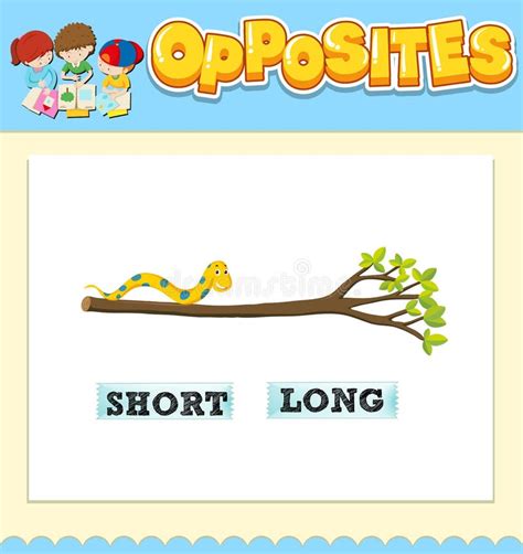 Opposite Words For Short And Long Stock Vector Illustration Of