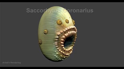 Saccorhytus 3d Printed Sculpture Youtube
