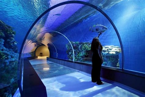 worlds  amazing aquarium   denmark memolition