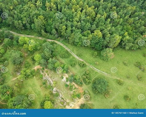 Aerial View Trees Stock Photo Image Of View Trees 145761160
