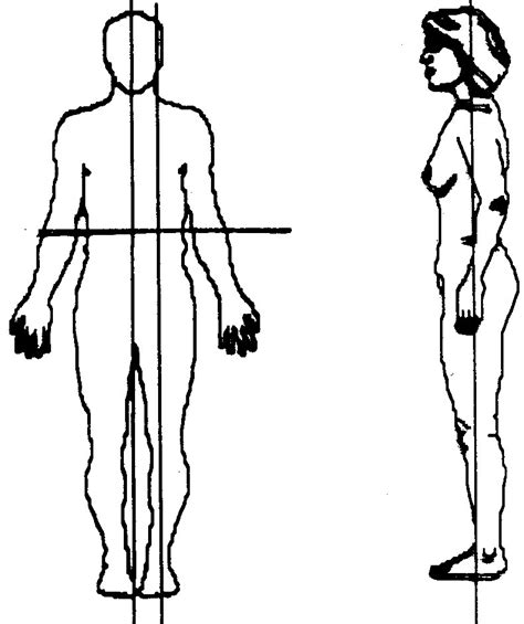 Female Body Diagram Blank Blank Drawing Of Human Body At Getdrawings Free Download Nude Photo