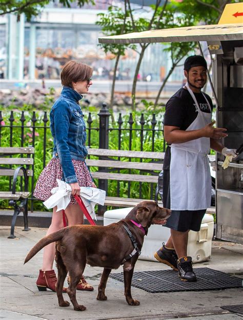 Anne Hathaway And Adam Shulman Walks Her Dogs Out In New York Hawtcelebs