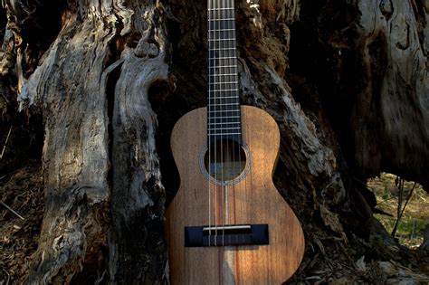 11 Guitalele Chords You Should Know