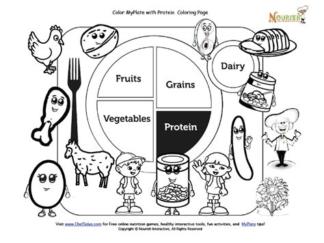 Color My Plate with Protein Coloring Page | Kids nutrition, Coloring