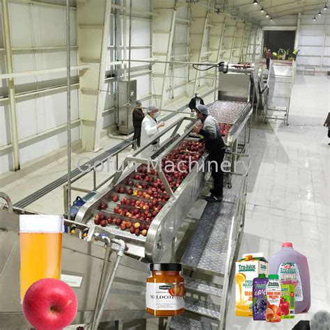Automatic Plc Controlled Apple Juice Processing Machine 05th 30th