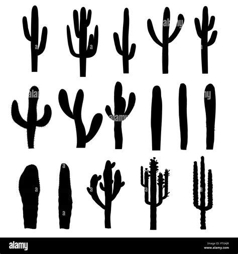 Saguaro Silhouettes Stock Vector Images Alamy