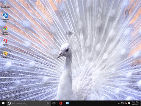 10 Best Themes for Windows 10 to Download Right Now