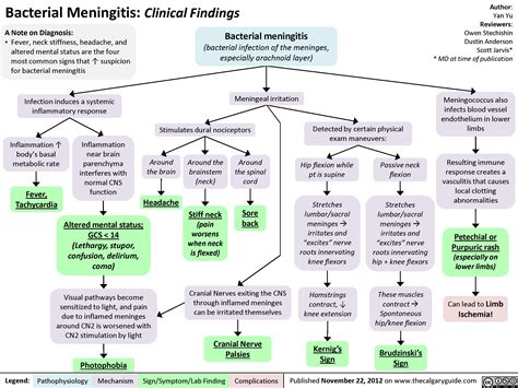 Bacterial Meningitis Clinical Findings Calgary Guide